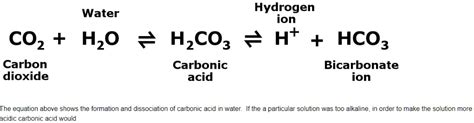 hco3 dissociation in water