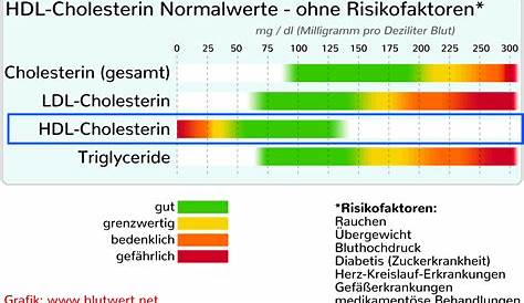 HDL-Cholesterin-Werte - Normalwerte - Niedrige & Erhöhte Werte