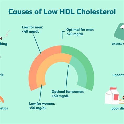 hdl cholesterol 38 means