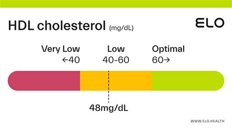 hdl cholesterol 48 mg dl