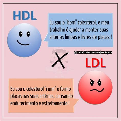 hdl e ldl significado