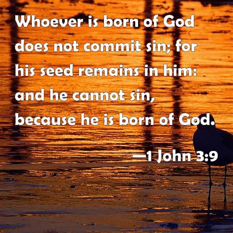 he that is born of god doth not commit sin
