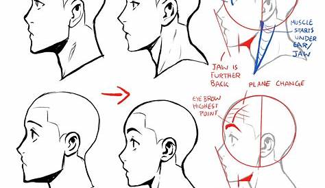 Head Profile Drawing Human Face Outline Free Download On ClipArtMag