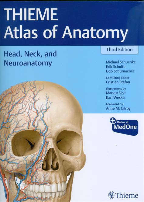 head and neck anatomy atlas