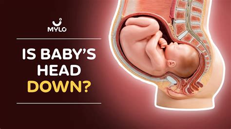 Head Down At 28 Weeks