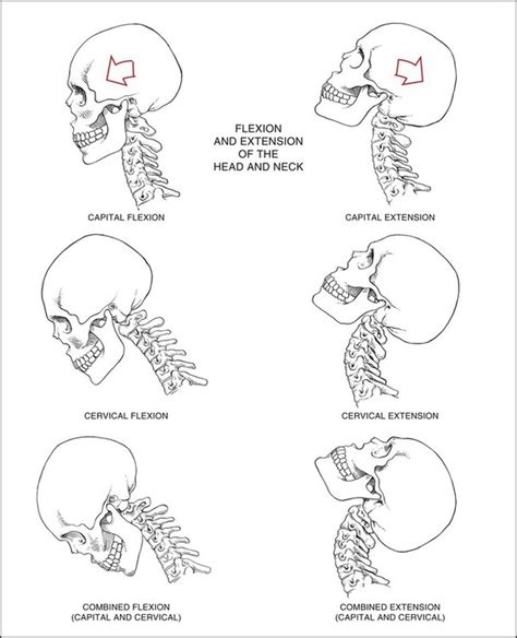 Head Extension Neck Flexion