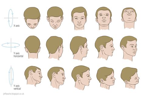 Head From All Angles