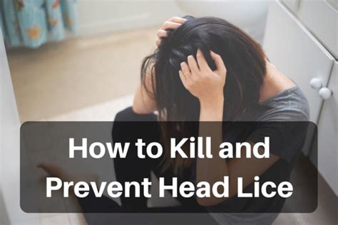 Head Lice Keeps Coming Back