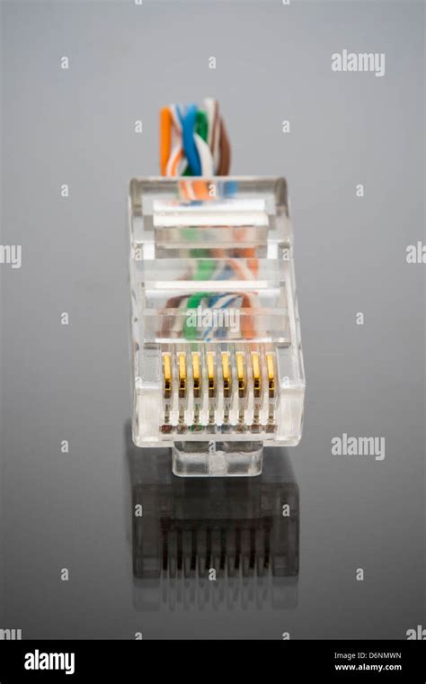 Head Of Ethernet Cable