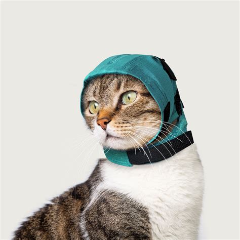 Head Protector For Cats