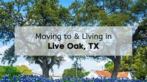 head start live oak tx