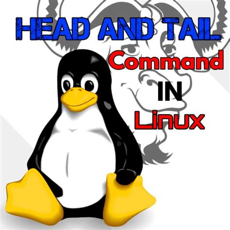 Head Tail Linux Examples
