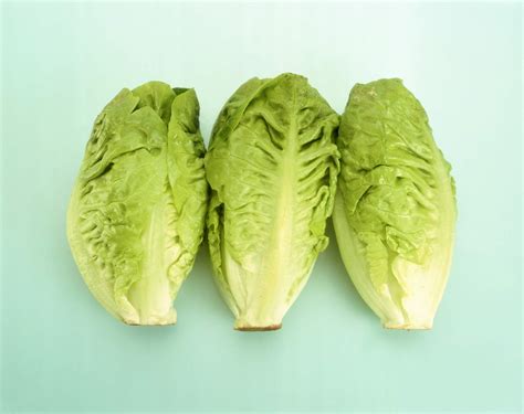 Heads Of Lettuce