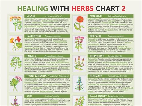 Healing Herbs Pdf