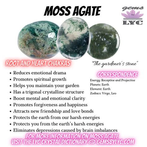 Healing Properties Of Moss