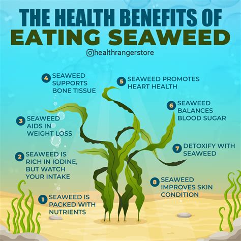 The benefits of seaweed (and when to avoid it) Nexus Newsfeed
