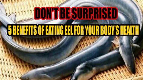 health benefits of eating eel