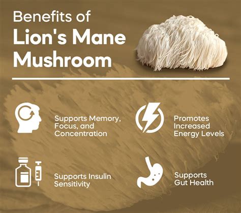 health benefits of lion mane
