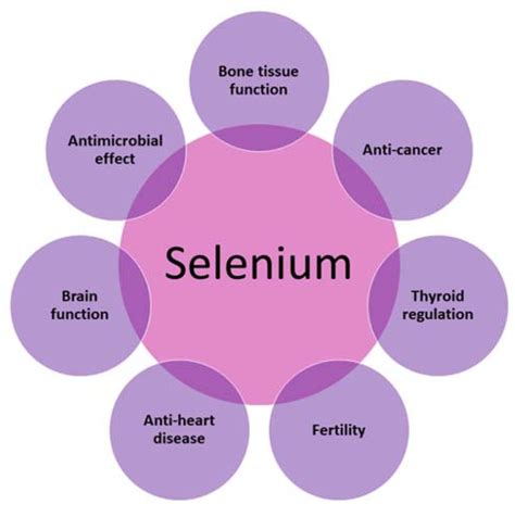 health benefits of selenium
