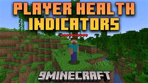 Health Indicators Mod