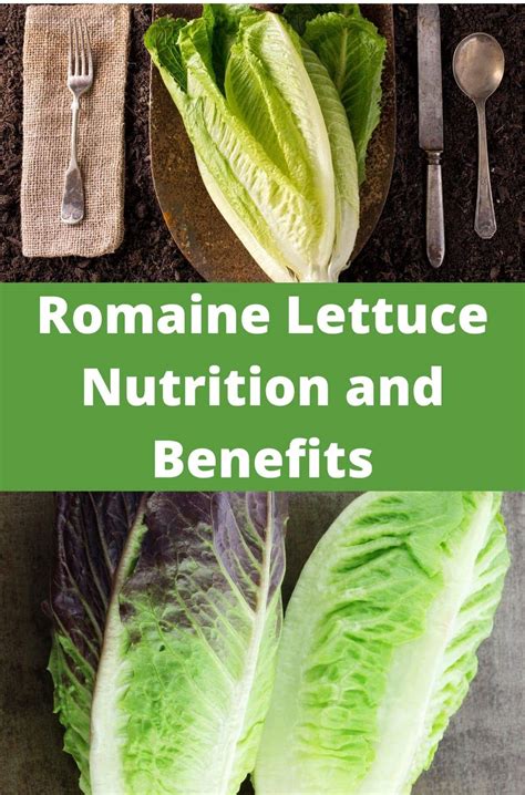 Healthier Celery Or Romaine Lettuce