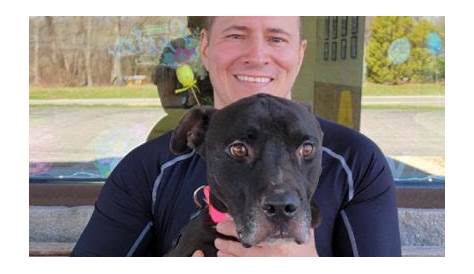 Dog for adoption - Murdock, an American Staffordshire Terrier Mix in