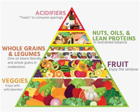 healthy food pyramid 2016