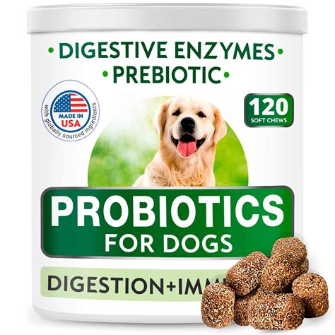healthy probiotics for dogs