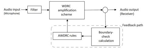 Hearing Aid Signal Processing
