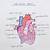 heart diagram step by step