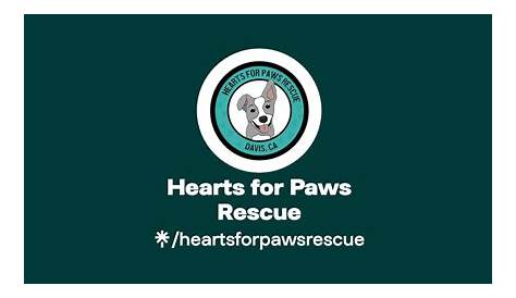 Hearts and Paws Rescue Fundraising | Easyfundraising
