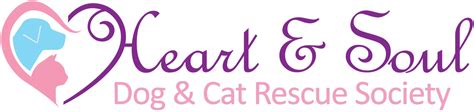 heart and soul dog and cat rescue