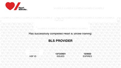 heart and stroke foundation bls certificate