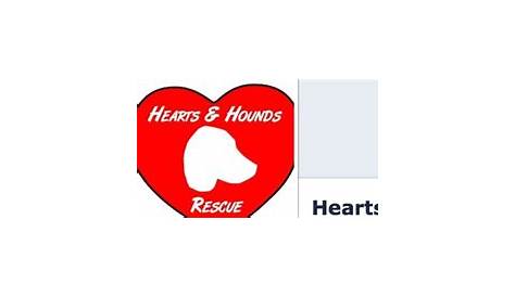 Hearts & Hounds - Speed Dating for Dog Owners at Bow Wows | Port Solent