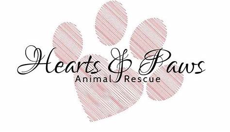 3 Hearts 4 Paws Animal Rescue - YouTube