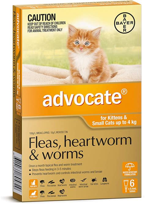 heartworm meds for cats