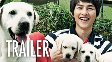 Hearty Paws 2 Full Movie With English Subtitles - Ofofata