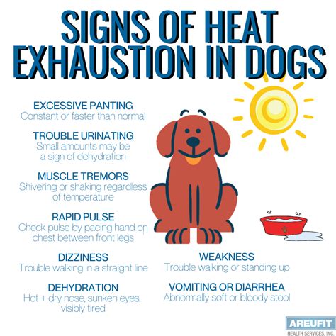 heat exhaustion in dogs