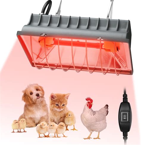 heat lamp for pets