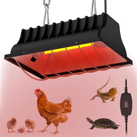 Heat Lamp In Brooder