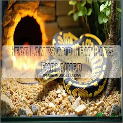 Heat Pads On Ball Python