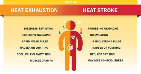 heat related illness definition