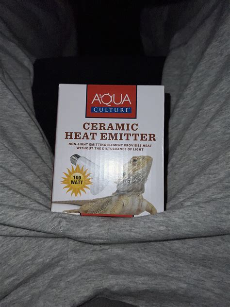 Heat Source For Crested Gecko