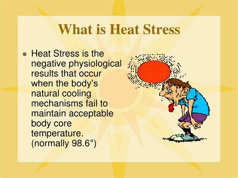 heat stress powerpoint presentation