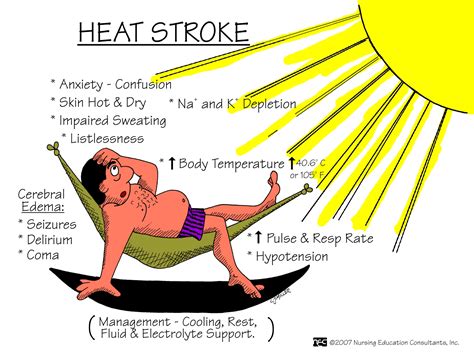 heat stroke may be recognised