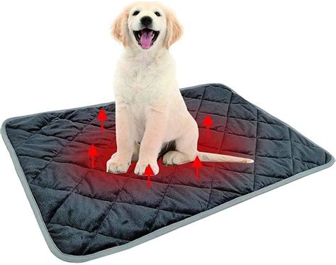 Heated Dog Blanket Australia