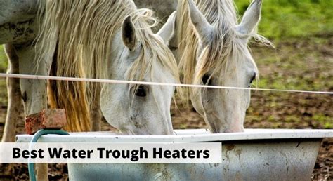 Heated Horse Trough