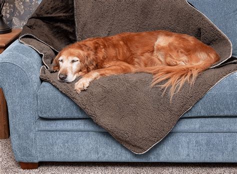 heated throw blanket for dogs