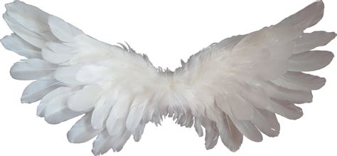 heaven angel wings png