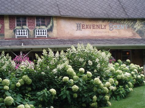 Discover The Enchanting World Of Heavenly Scent Herb Farm